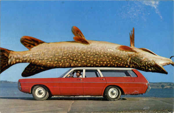 Fish Exaggeration
