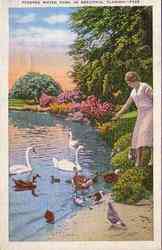 Feeding Water Fowl