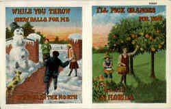 Winter in Florida, snowball, oranges