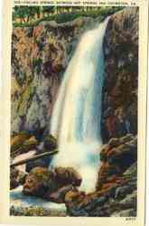 Previous Card