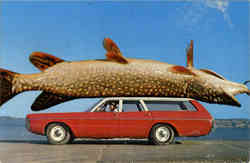 Fish Exaggeration