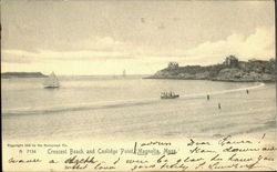 Previous Card