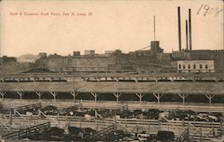 Swift & Company Stock Yards, East St. Louis Postcard