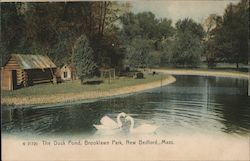 The Duck Pond, Brooklawn Park Postcard