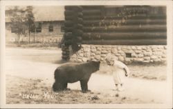 Hello You! Small Bear and Child Face to Face Postcard