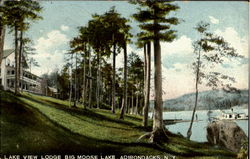 Lake View Lodge Big Moosle Lake