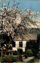 Previous Card