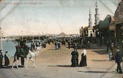 On the Midway Postcard