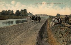 Tow Path on Erie Canal Postcard