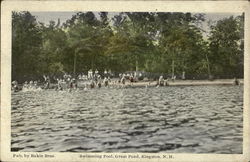 Swimming Pool, Great Pond