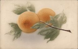 Orange branch Postcard