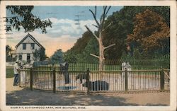 Bear Pit Buttonwood Park Postcard