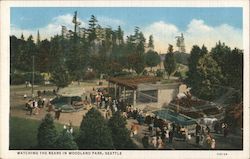 Watching the Bears in Woodland Park Seattle, WA Postcard Postcard Postcard