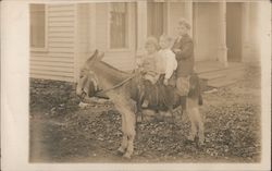 Three Kids Posing on a Donkey Postcard