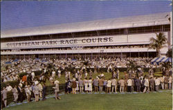 Gulfstream Park Race Course Hallandale, FL Postcard Postcard