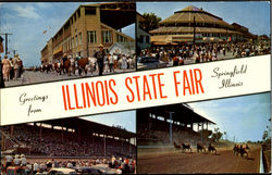 Greetings from Illinois State Fair Greetings from Illinois State Fair