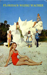 Florida's Weeki Wachee Florida's Weeki Wachee