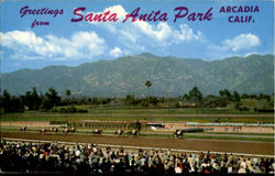 Greetings from Santa Anita Park