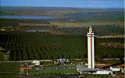Arial View Citrus Tower, U.S. Highway 27
