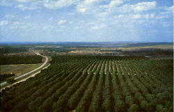Citrus Tower, U.S. Highway 29