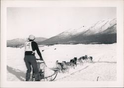 Dog Sled Racing 1951 Original Photograph