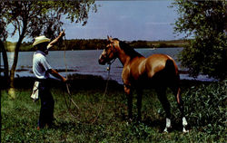 Texas Cowboy And His Horse