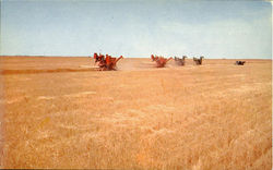 Harvest Time