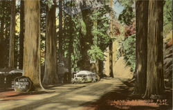 Lane'S Redwood Flat On Redwood Highway Lane'S Redwood Flat On Redwood Highway