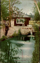 Feeding Trout At Hatcheries