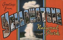 Greetings from Yellowstone National Park Postcard