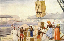 Shipping Tea