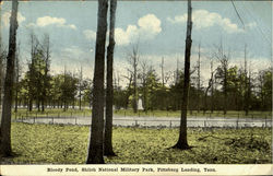 Bloody Pond, Shiloh National Military Park