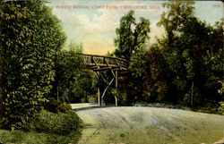 Rustic Bridge,Come Park