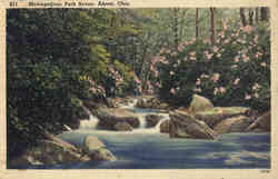 Metropolitan Park Scene