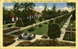 Orange Vista and Gardens San Marcos Hotel Postcard