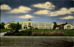 Junior College Junior College