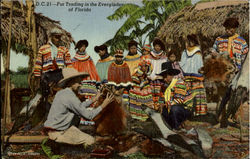 Fur Trading in the Evergladers