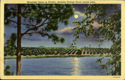 Previous Card