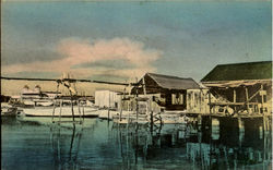 Waterfront Scene.Key West, CASA MARINA NEWSSTAND Waterfront Scene.Key West, CASA MARINA NEWSSTAND