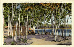 White Birches ,State Camping Grounds,Tupper Lake