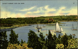 Quisett Harbor