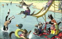 Cats Swimming