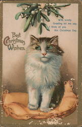 Best Christmas Wishes With Cats Postcard Postcard Postcard