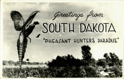 Greetings From South Dakota Greetings From South Dakota