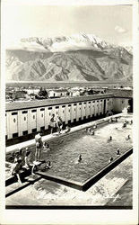 Previous Card