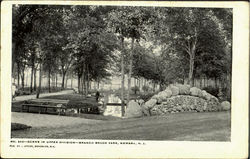 Scene In Upper Division, Branch Brook Park Scene In Upper Division, Branch Brook Park