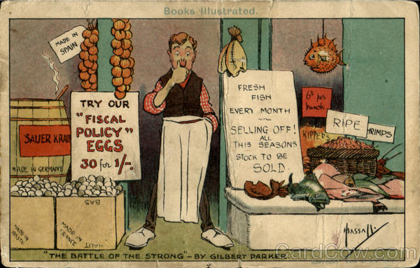 BOOKS Illustrated Old Postcard