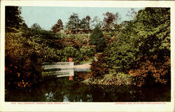 Vale Cashmere, Prospect Park Vale Cashmere, Prospect Park