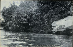 Washington's Head