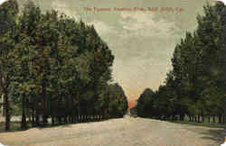 The Famous Alameda Blvd